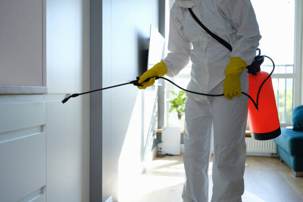 Best Emergency Mold Removal  in Shawnee Hills, OH