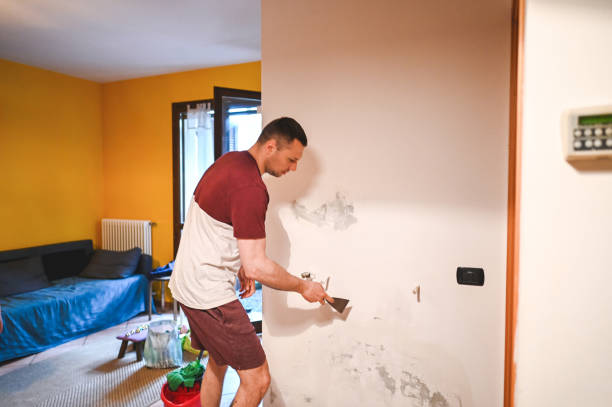Best Local Mold Removal Service  in Shawnee Hills, OH