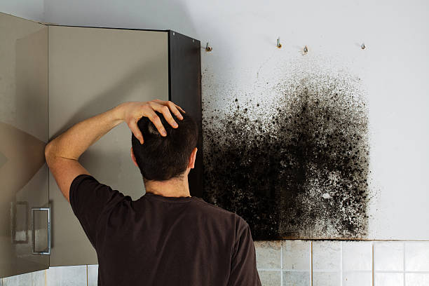 Crawl Space Mold Removal in Shawnee Hills, OH